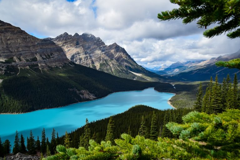 The Eco-Traveler’s Guide: Sustainable Practices for Outdoor Adventures